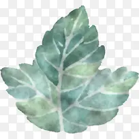 叶 花盆 植物-空若网 叶 花盆 植物-空若网