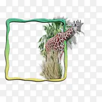 ˮ�ʻ� ���� ʪīˮ-������