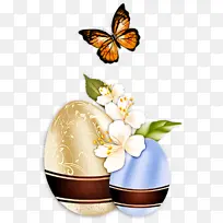 昆虫 花 花盆-空若网 昆虫 花 花盆-空若网