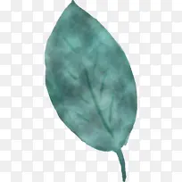 叶子 头饰 科学-空若网 叶子 头饰 科学-空若网