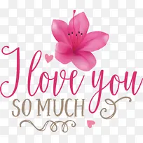 �ҷǳ����� ���˽� ����-������