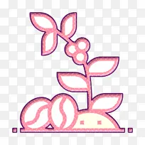 植物图标 咖啡图标 咖啡-空若网 植物图标 咖啡图标 咖啡-空若网