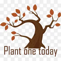 ֲ���� ��֦ ��ľ-������