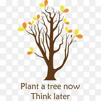 ֲ���� ��ľ ��֦-������