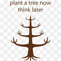 植树节 树 家谱-空若网 植树节 树 家谱-空若网