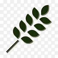 叶子图标 水果和蔬菜图标 素食美食-空若网 叶子图标 水果和蔬菜图标 素食美食-空若网