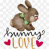 兔子爱 兔子 复活节-空若网 兔子爱 兔子 复活节-空若网