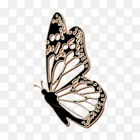 动物图标 昆虫图标 蝴蝶图标-空若网 动物图标 昆虫图标 蝴蝶图标-空若网