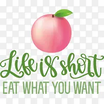 生活 饮食 食物-空若网 生活 饮食 食物-空若网