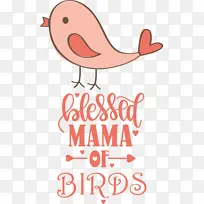 鸟 线 米-空若网 鸟 线 米-空若网