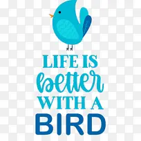 鸟类 动物 宠物-空若网 鸟类 动物 宠物-空若网