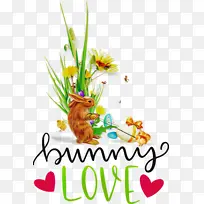 兔子爱 兔子 复活节-空若网 兔子爱 兔子 复活节-空若网