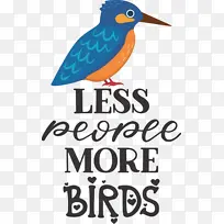 鸟类 米 喙-空若网 鸟类 米 喙-空若网