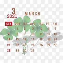 Ҷ �� ��ѧ-������