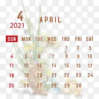 �� �� ��ѧ-������