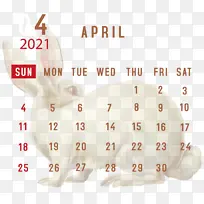 鼻子 米-空若网 鼻子 米-空若网