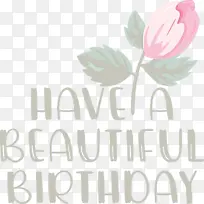 ����-������