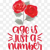 生日-空若网 生日-空若网