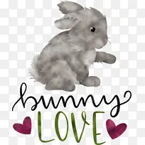 兔子爱 兔子 复活节-空若网 兔子爱 兔子 复活节-空若网