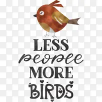 鸟类 喙 米-空若网 鸟类 喙 米-空若网