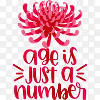 生日-空若网 生日-空若网