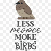 ���� èͷӥ �-������