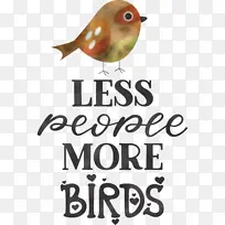 鸟类 喙 米-空若网 鸟类 喙 米-空若网