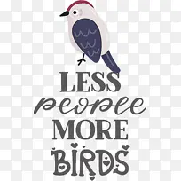 鸟类 标志 喙-空若网 鸟类 标志 喙-空若网