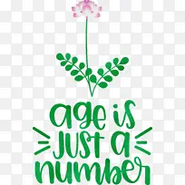 ����-������