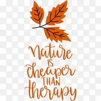 ��Ȼ ��Ҷ ��־-������