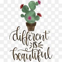 ��Ů�� �� ��-������