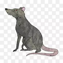 大鼠啮齿动物动物群-空若网 大鼠啮齿动物动物群-空若网