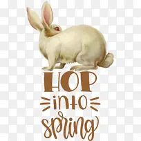 复活节快乐 复活节 兔子-空若网 复活节快乐 复活节 兔子-空若网