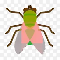 昆虫图标 动物图标 苍蝇图标-空若网 昆虫图标 动物图标 苍蝇图标-空若网