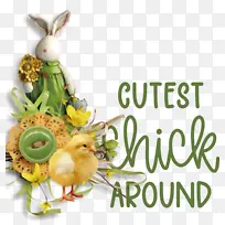 复活节快乐 复活节 复活节兔子-空若网 复活节快乐 复活节 复活节兔子-空若网