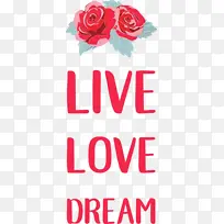 生活 爱情 梦想-空若网 生活 爱情 梦想-空若网