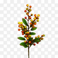 �ǿ��� ��-������