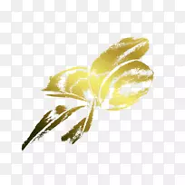 À¥³æ»¨°êÖ²Îï¾¥»ÆÓð-¿ÕÈôÍø À¥³æ»¨°êÖ²Îï¾¥»ÆÓð-¿ÕÈôÍø