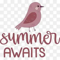 ����-������