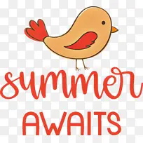 夏天-空若网 夏天-空若网