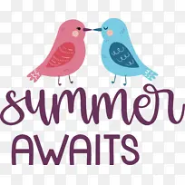 夏天-空若网 夏天-空若网