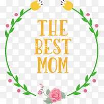 ĸ�׽� ĸ�׽ڿ��� ɫ��-������