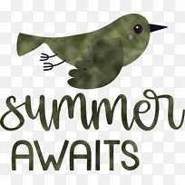 ����-������