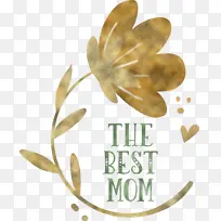 母亲节 母亲节快乐 花卉-空若网 母亲节 母亲节快乐 花卉-空若网