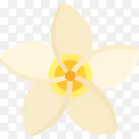 ����������������-������