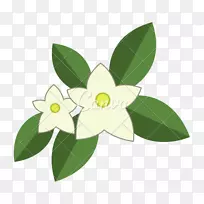 阿拉伯茉莉花电脑图标-茉莉花-空若网 阿拉伯茉莉花电脑图标-茉莉花-空若网