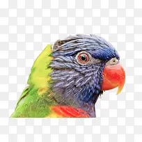 电脑显示器 电脑 智能电视-空若网 电脑显示器 电脑 智能电视-空若网