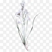 ֲ�ﾥ �� ޹�²�-������