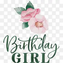 ����Ů�����տ���-������