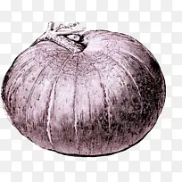 蔬菜 西葫芦 洋葱-空若网 蔬菜 西葫芦 洋葱-空若网